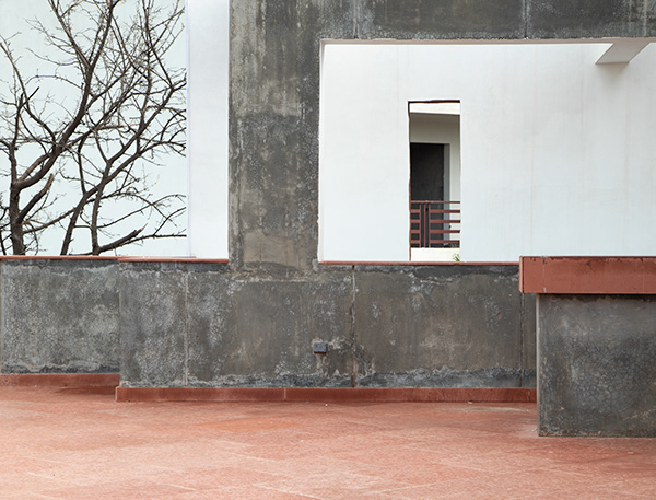 House With 49 Trees RENESA-27