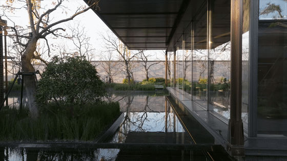 上海华发建发·缦云（示范区）丨中国上海丨深圳市派澜景观规划设计有限公司-60