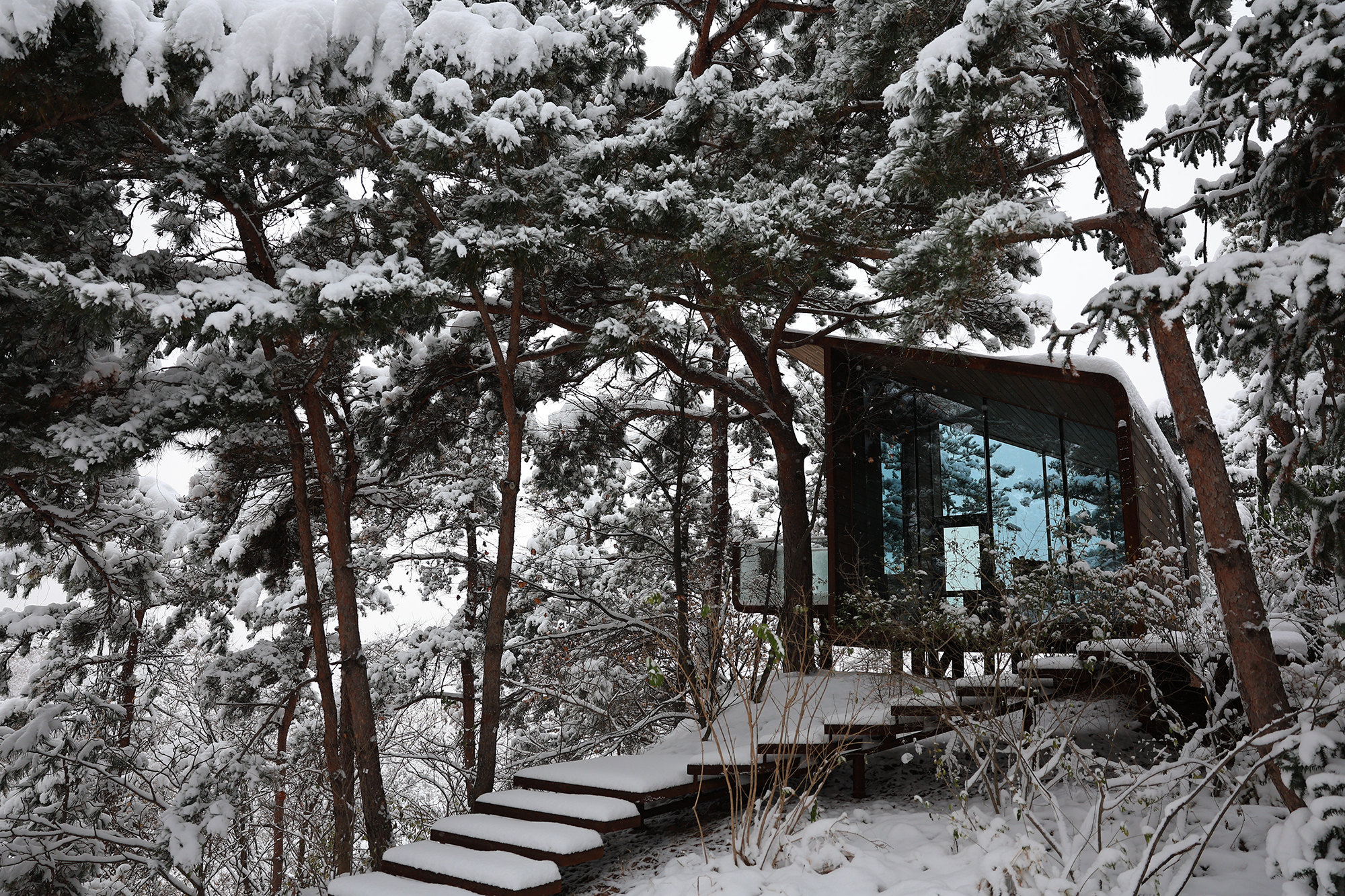 昆嵛山国家级自然保护区基础设施设计项目丨大小景观团队(Atelier Scale)-183