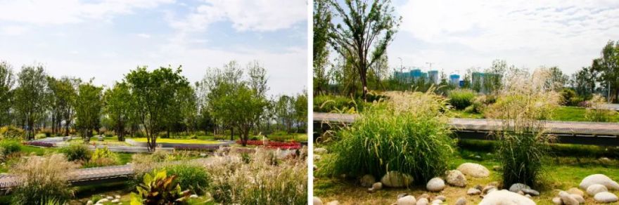 西安奥体中央公园丨中国西安丨北京市园林古建设计研究院有限公司-111