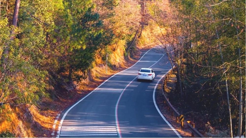 醉美泾川乡村振兴EPC建设项目——皖南川藏线沿线环境整治|亦境作品-41