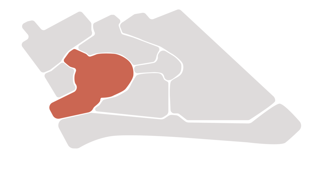 庄子逍遥元宇宙|一场穿越千年的东方奇幻之旅——用建筑语言解构庄子的逍遥梦境-65