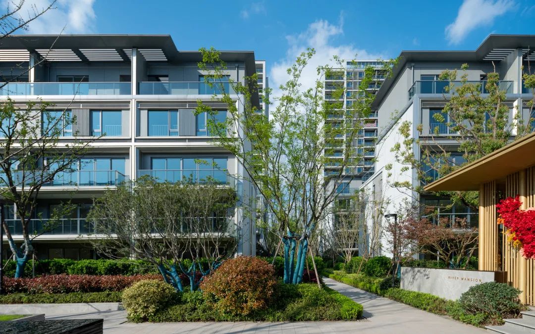 中南作品 | 建德江上云起，临江画境，自然盛景-25