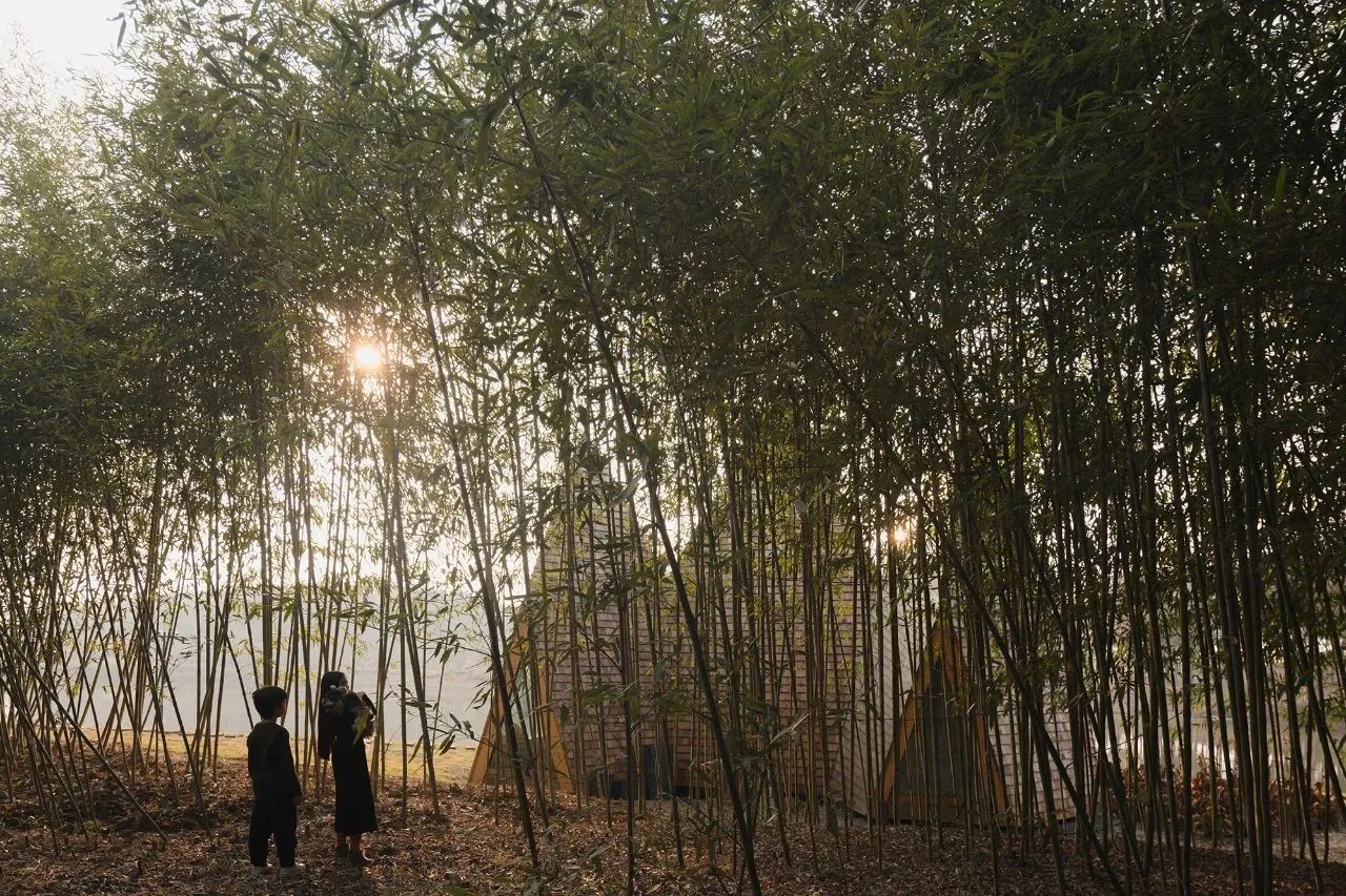 [荒野之家 #95#]  精灵屋 The Sprite Cabin丨中国黄冈丨个个世界 先进建筑实验室-21