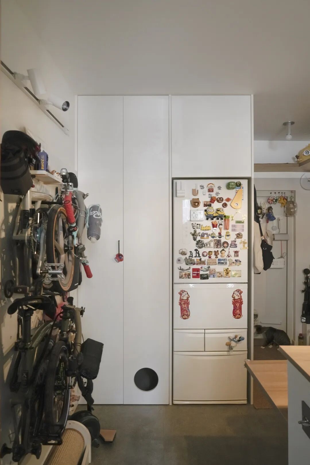 44㎡的治愈宇宙：一人四猫的共生乐园，小户型里的极致温柔-58