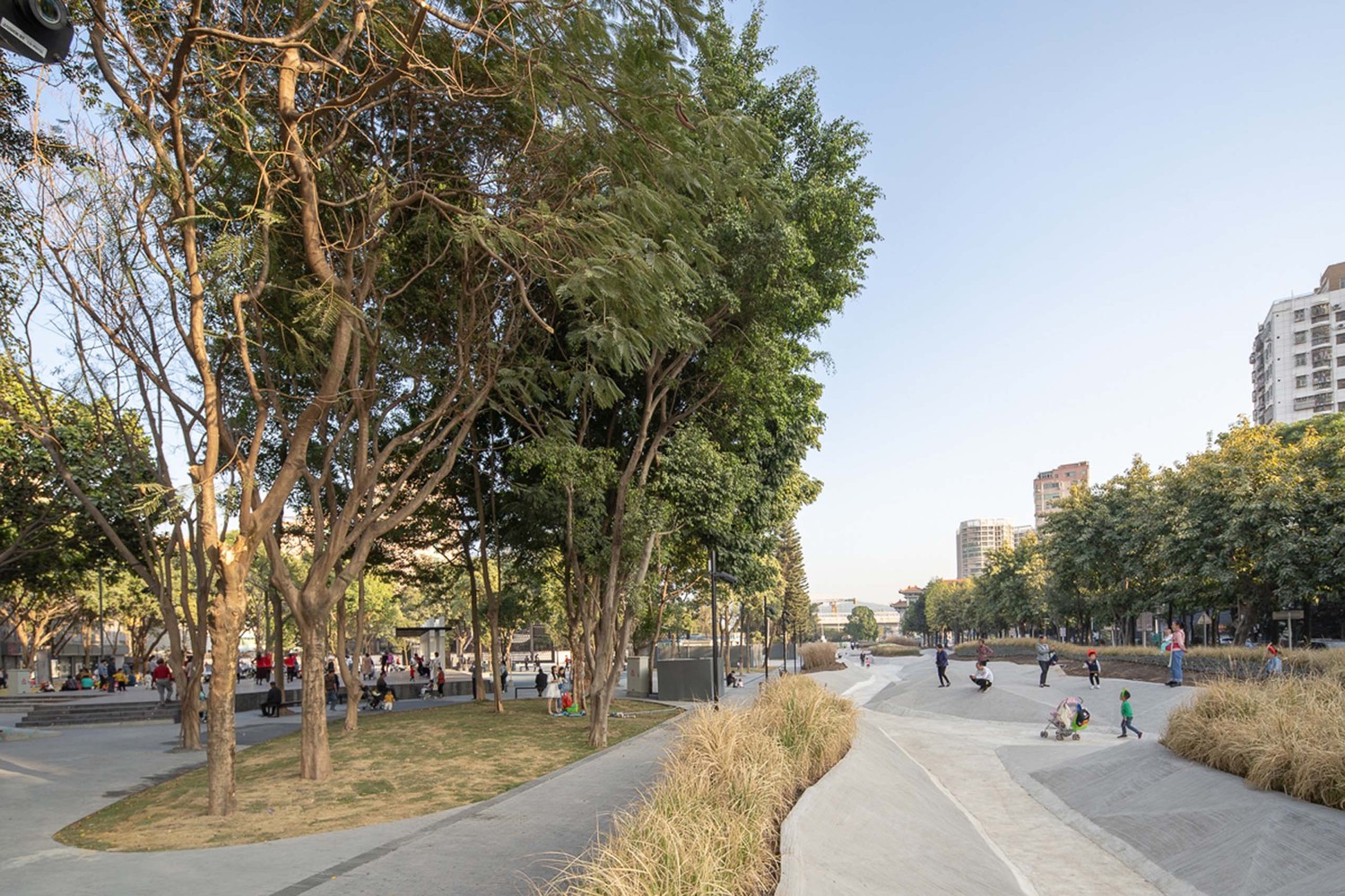 深圳大地的记忆-38