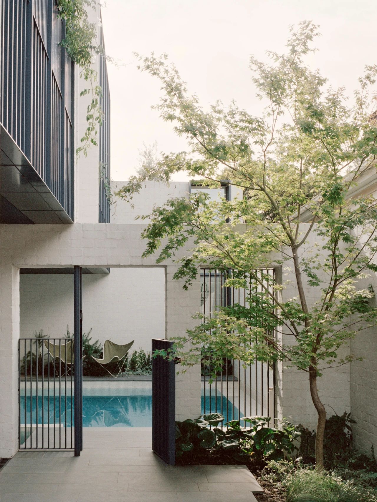 折线形屋顶房子丨澳大利亚墨尔本丨Studio Bright-34