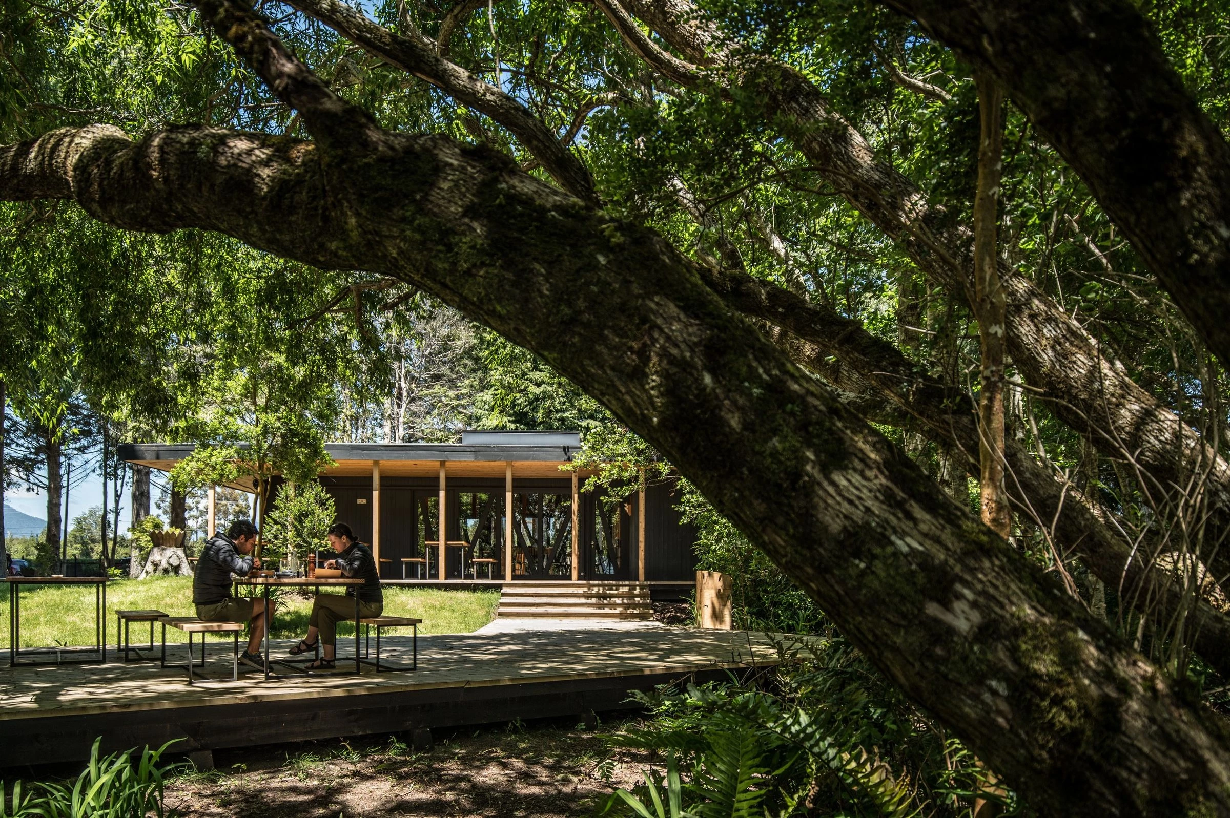 智利湖畔森林中的舒适用餐空间-25