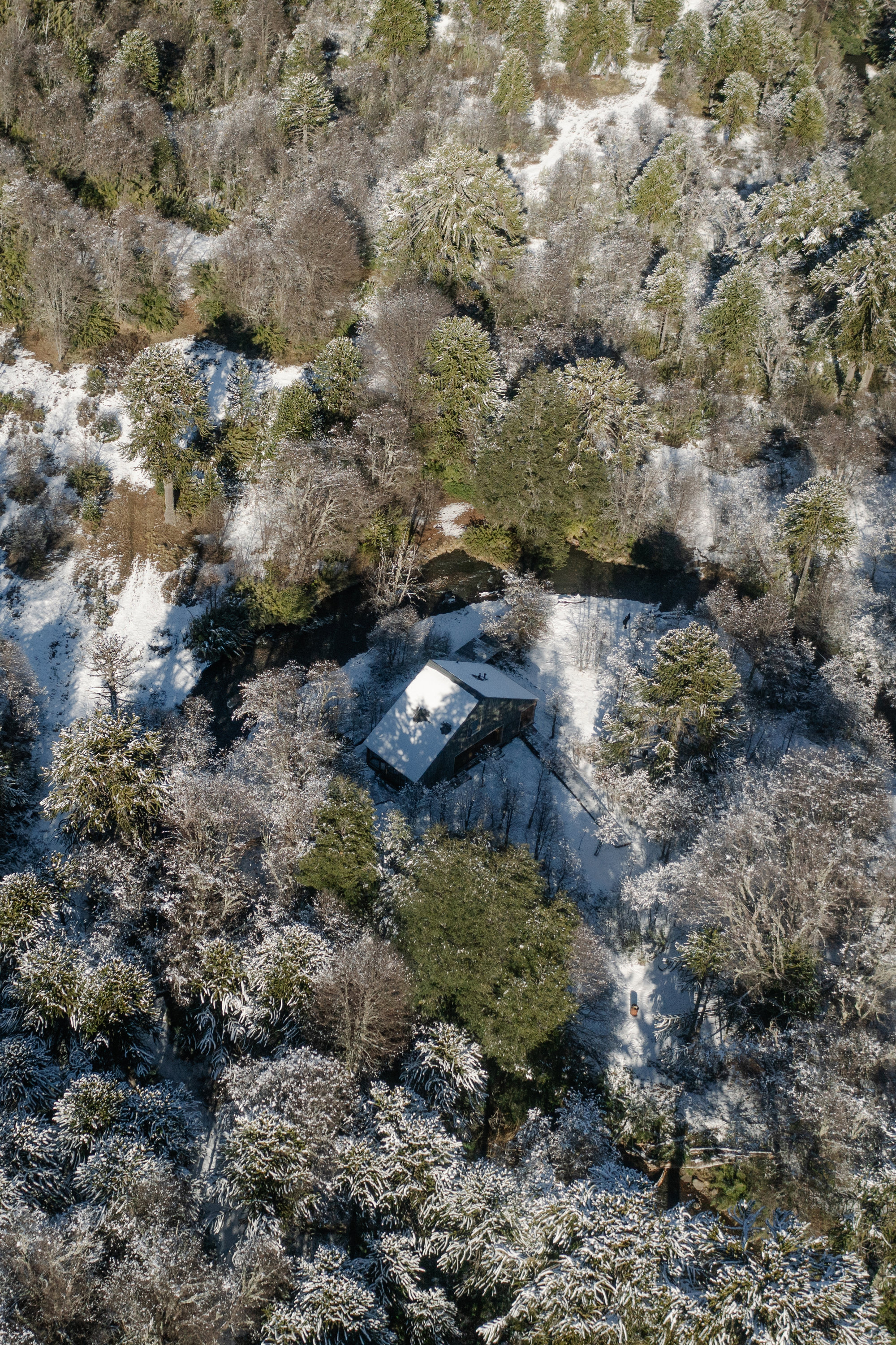 考廷河畔的房子丨智利丨Iragüen Viñuela Arquitectos-37