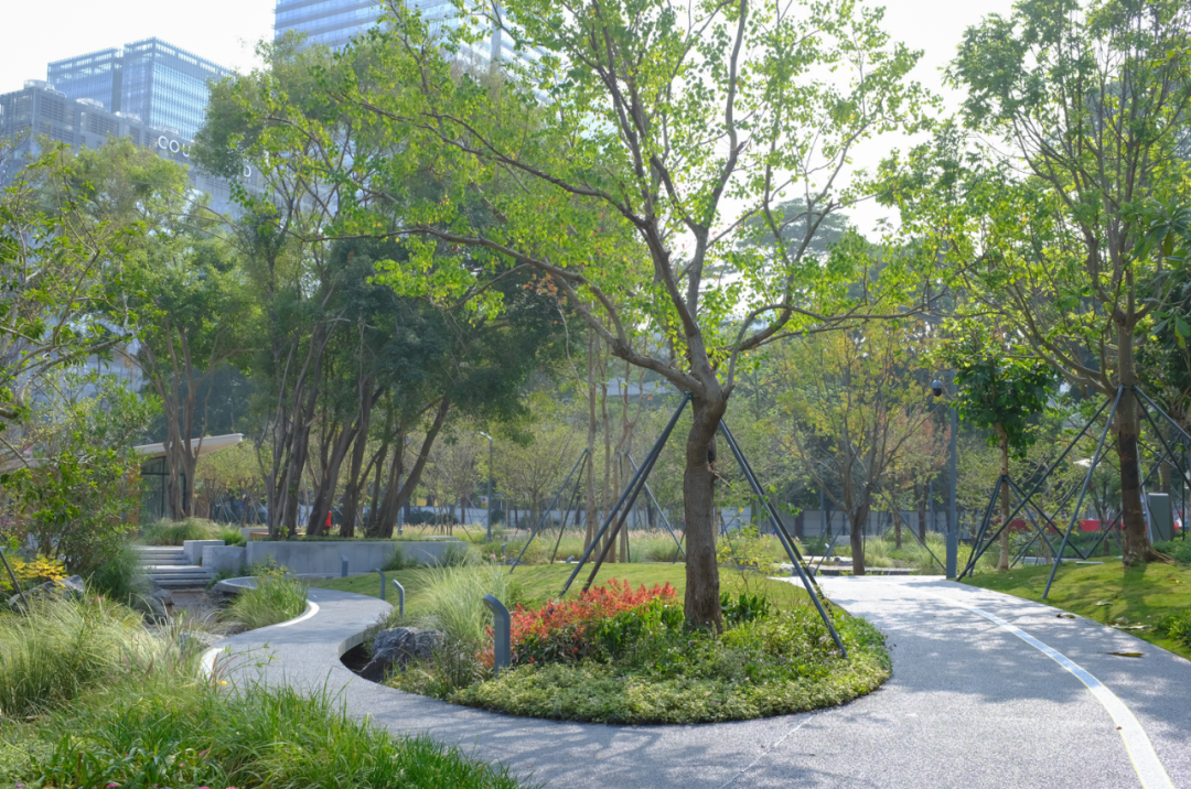 智见 · 云上 | 云之园 CLOUD PARK-186