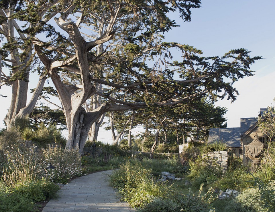 2016 ASLA 住宅设计类荣誉奖：拥有出色节水设计的诗意庭园 / Arterra Landscape Architects-6