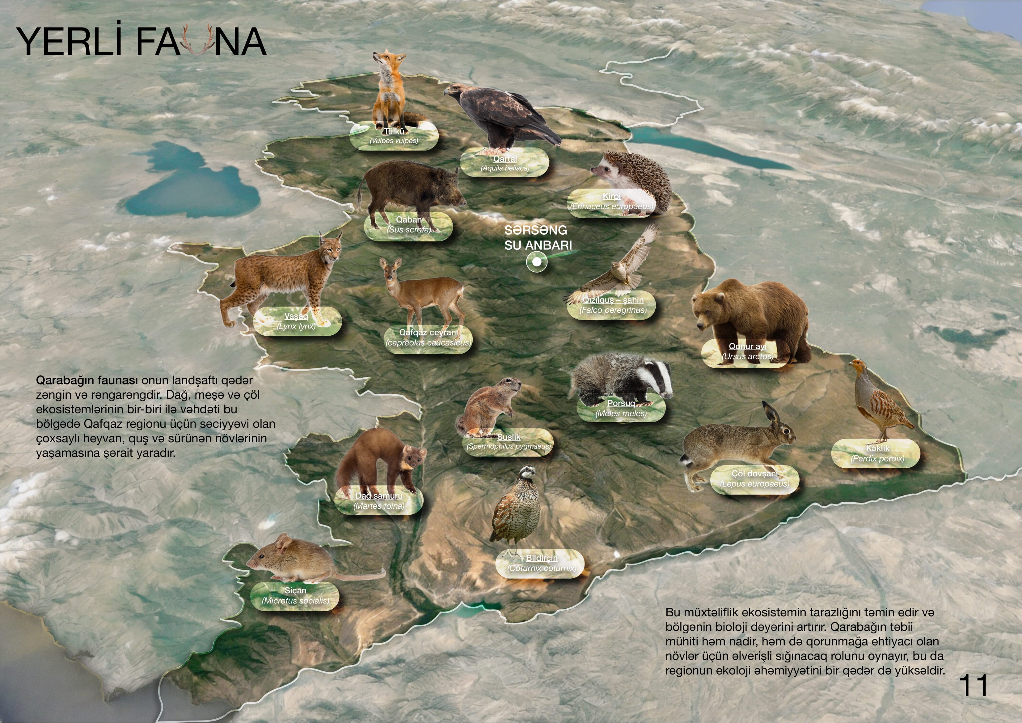 SƏRSƏNG项目丨阿塞拜疆-24