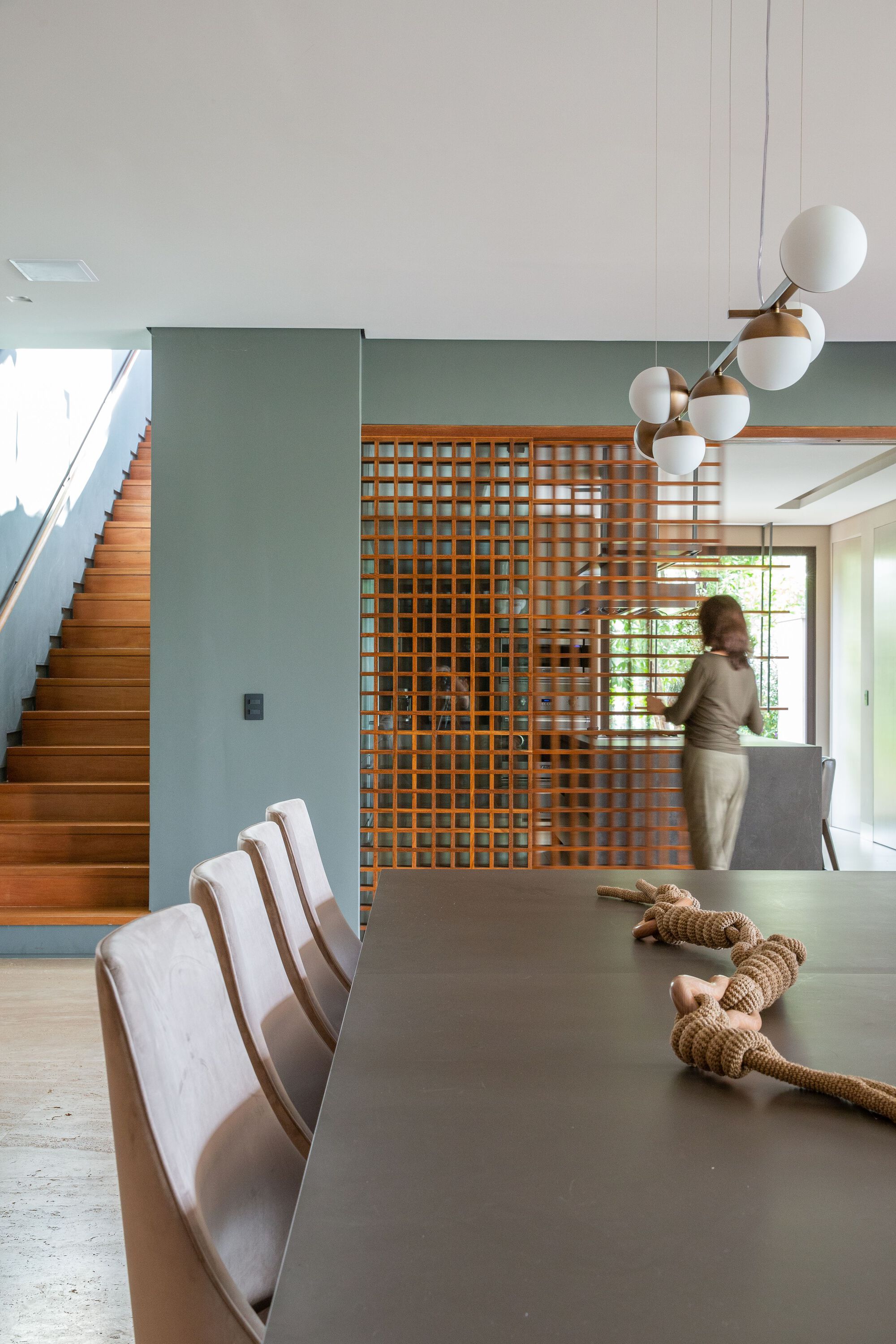 布劳宁哈斯之家丨巴西丨Pablo Lanza Arquitetura-41