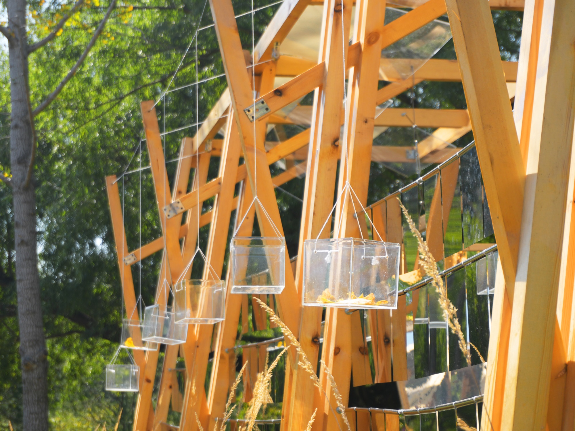 气候盒子丨中国北京丨重庆大学建筑城规学院“空间之间”营造团队-34