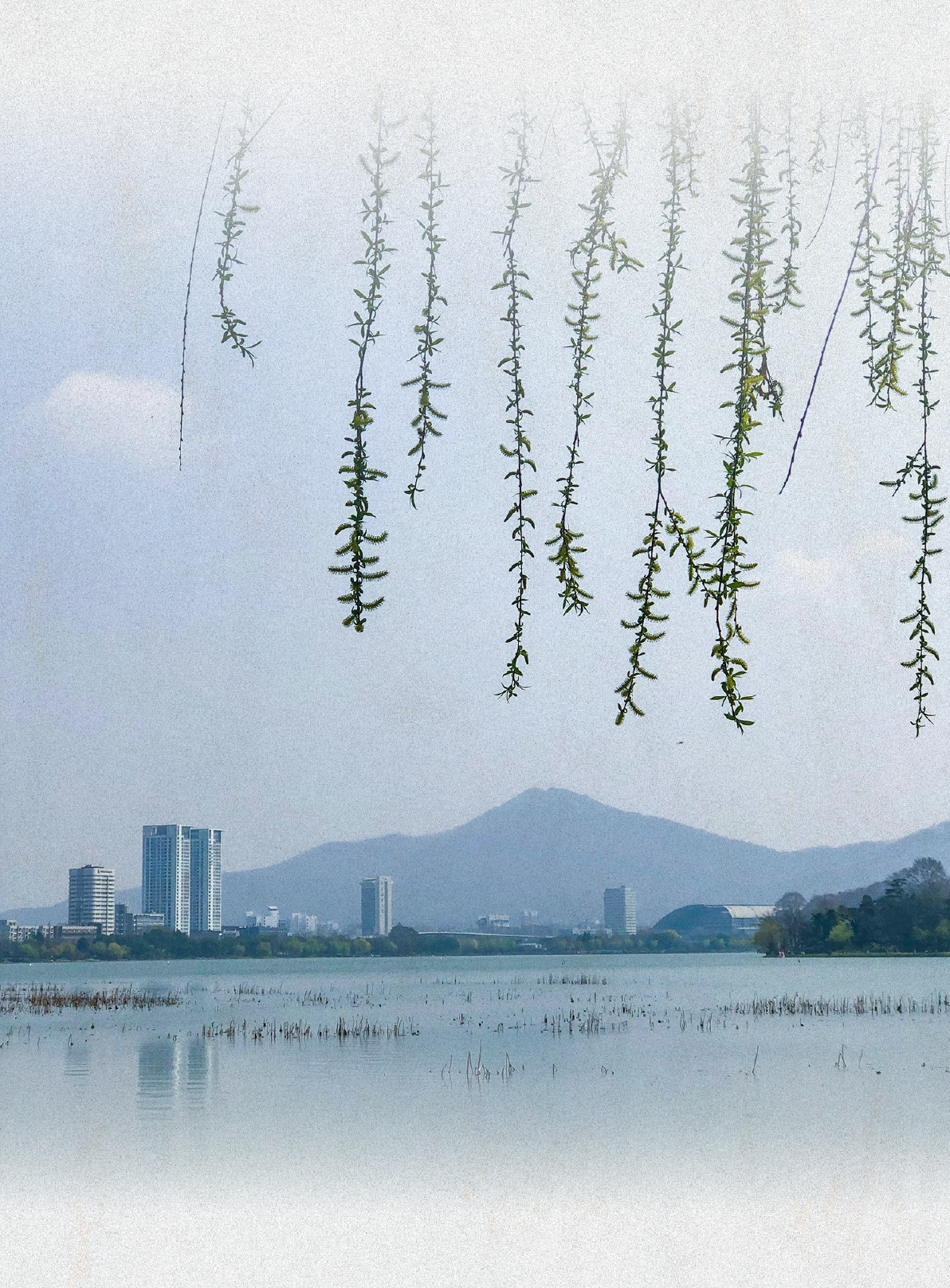 南京明怡美憬阁精选酒店丨中国南京丨ONE HOUSE DESIGN壹舍设计-14