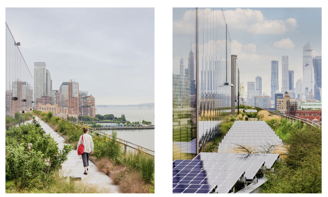 谷歌启用纽约哈德逊总部：里面有60个“社区”-191