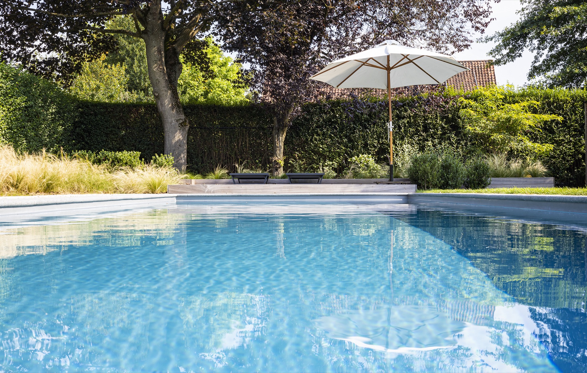 Natuurlijk zwembad in Hove-6