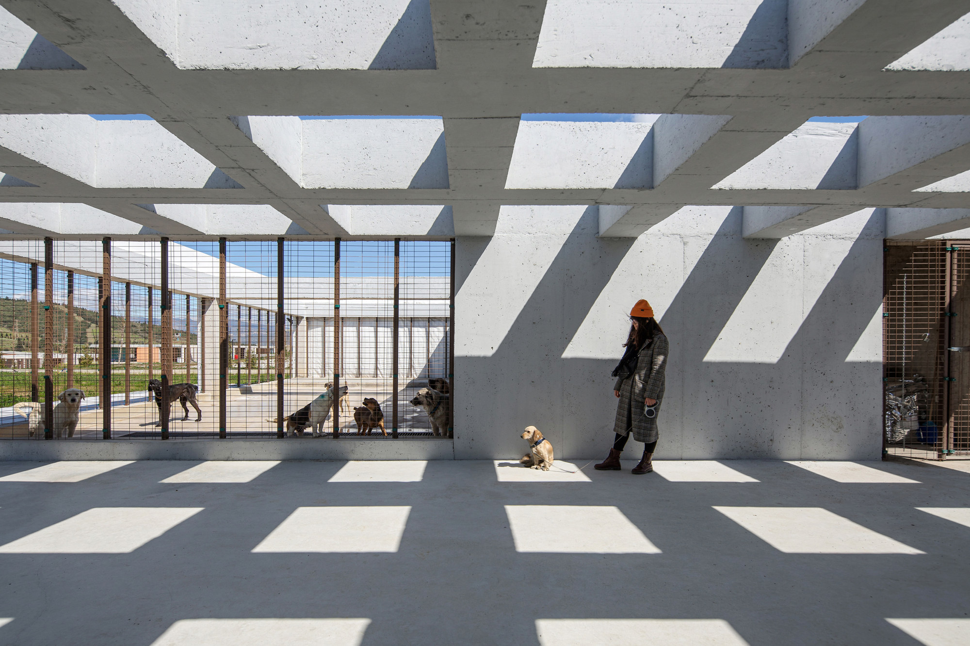 Pako Street Animal Social Life Campus / Mert Uslu Architecture-14
