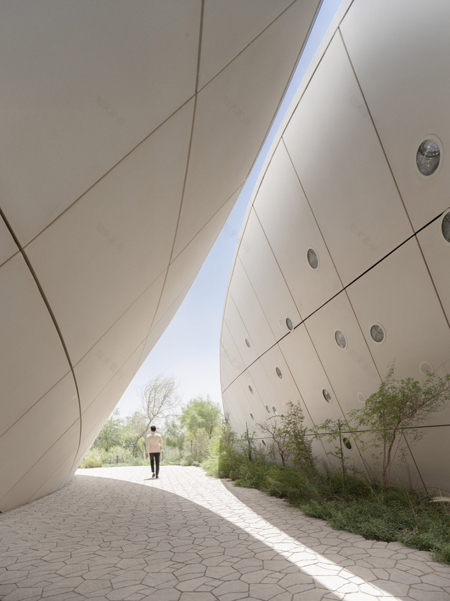 Ghaf Woods体验中心丨阿联酋迪拜丨竞赛和方案设计为aoe事建组,扩初及后续为STUDIOI-38