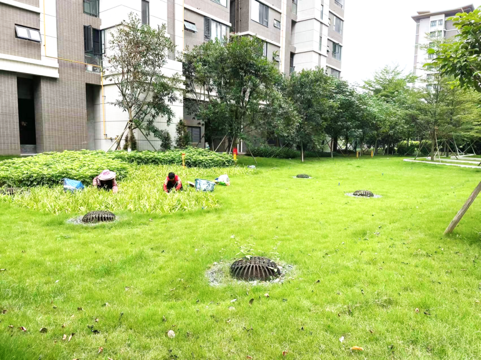 海绵城市|以系统化服务助力从化海绵城市建设，打造全域化生态治理新标杆-33