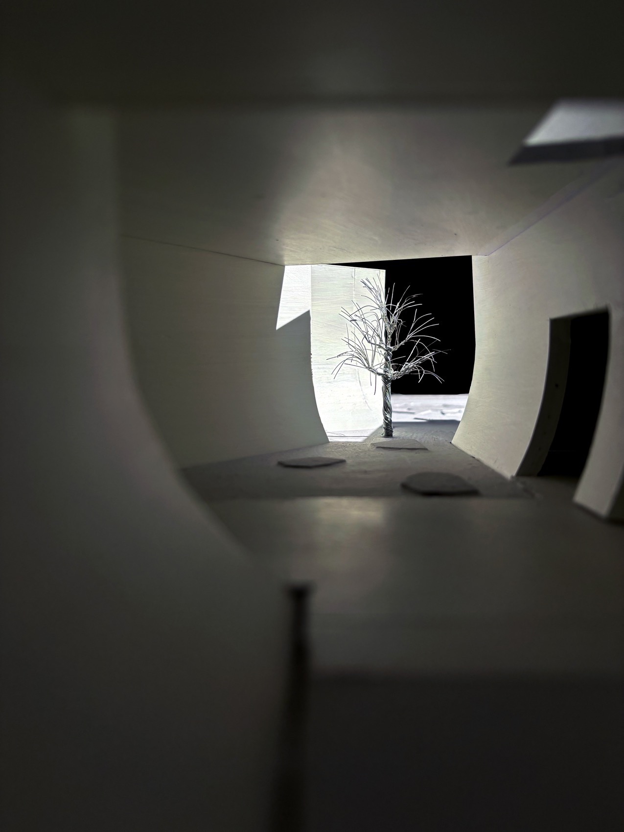 沉湖国际湿地艺术中心丨中国武汉丨迹·建筑事务所（TAO）-207