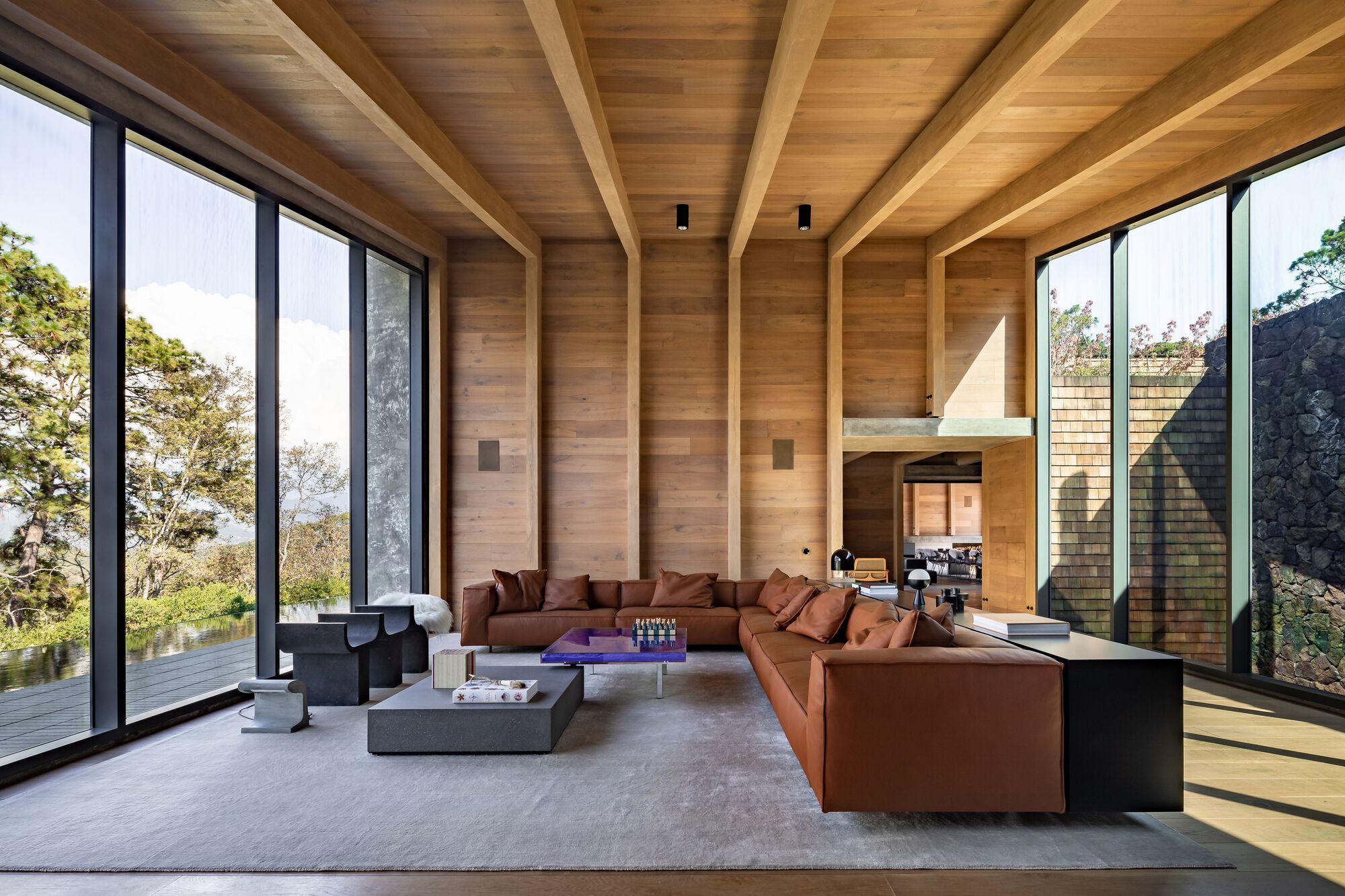 伊扎尔住宅丨墨西哥-28