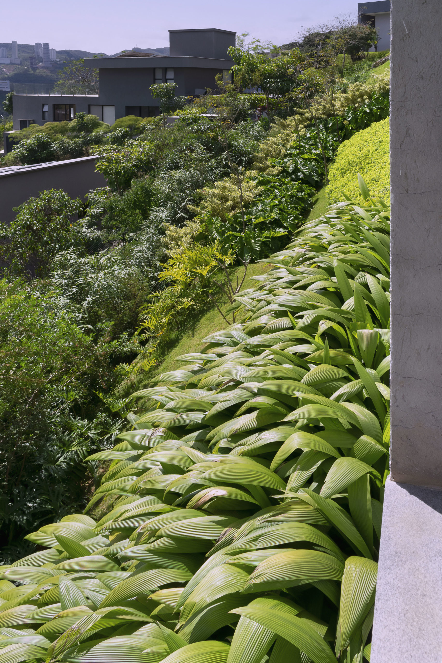 Jardim tropical e integrado à arquitetura em casa mineira - Conexão Decór-9