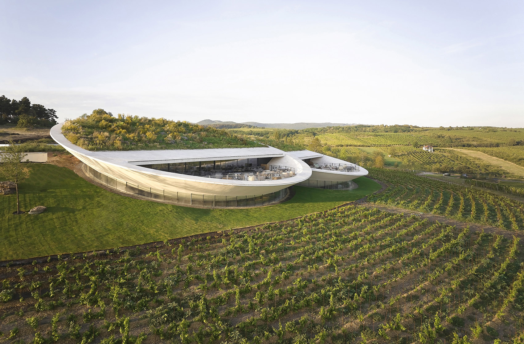 Sauska Tokaj酿酒厂，匈牙利 / BORD Architectural Studio-4