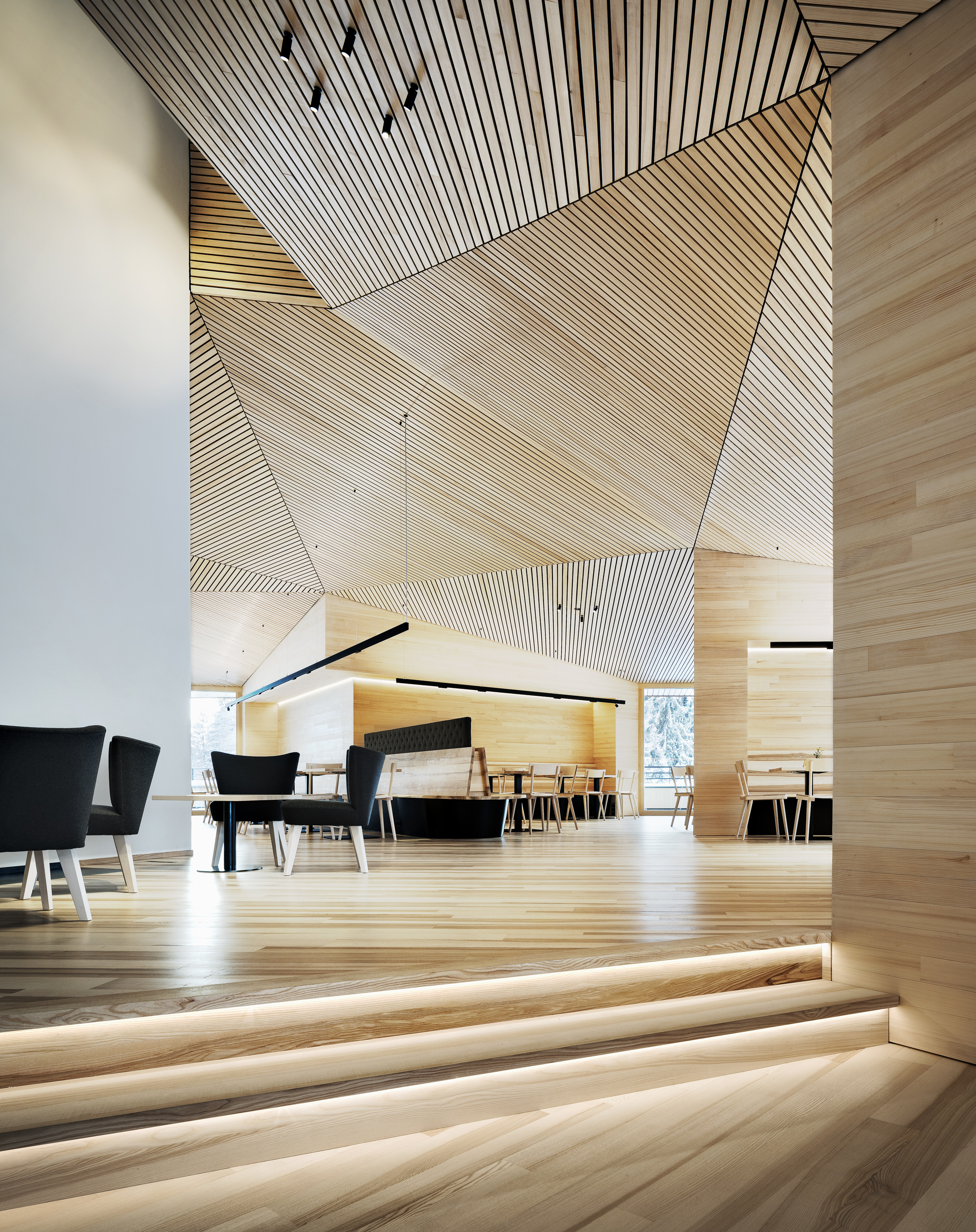 彼得霍夫阿尔卑斯山皮毛酒店丨Austria丨Baumschlager Eberle Architekten-32