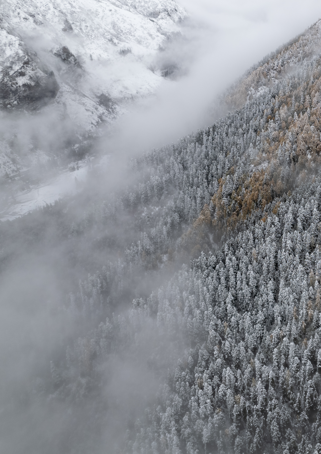 入云山民宿丨中国四川丨重庆無既萬溯设计有限公司-3