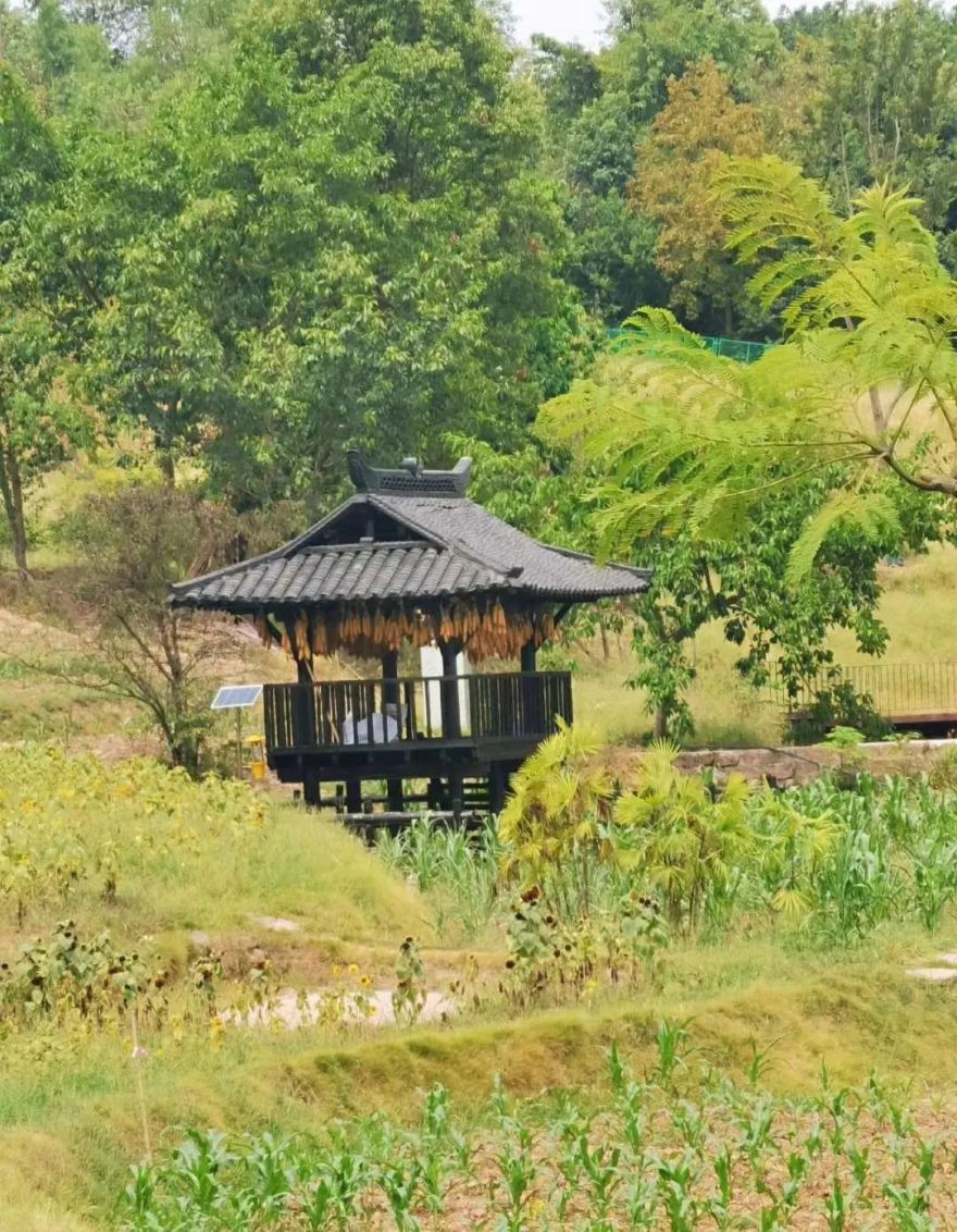 蓝城两江·田园牧歌——现代田园生活的新诠释-33