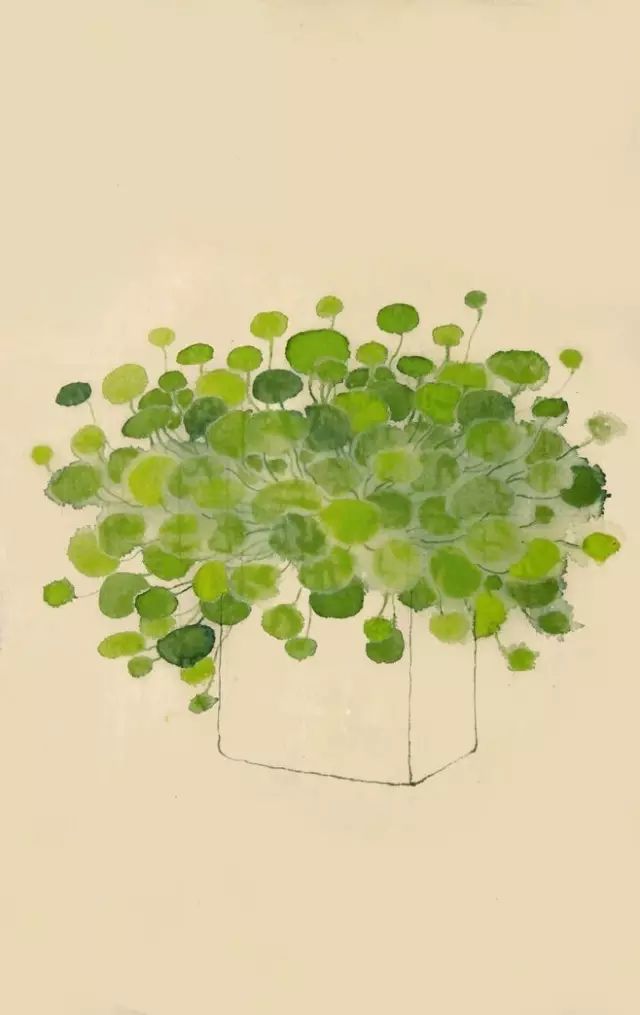 案上花草，闲时观 | 品味室内设计中的自然美学-21