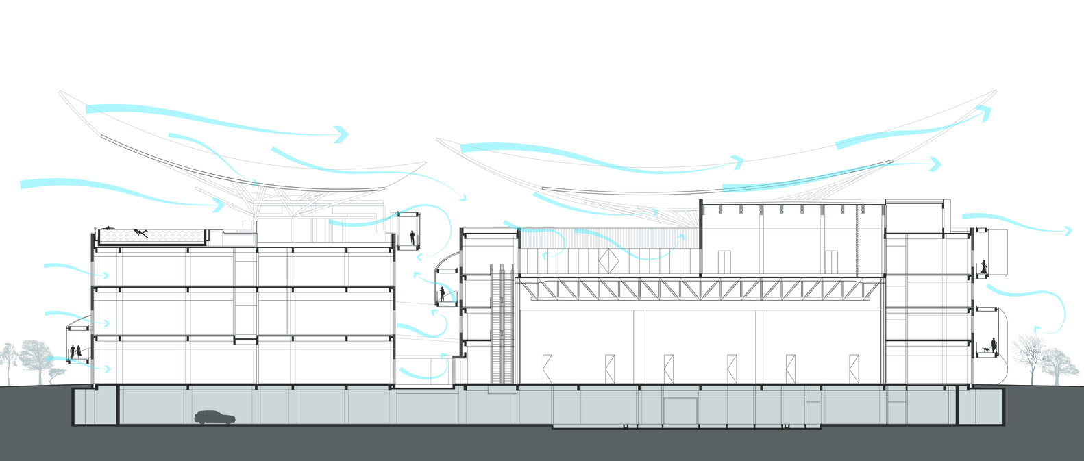 江苏黄海海滨国家森林公园的非常规会议中心丨中国江苏丨清华大学建筑设计研究院,素朴建筑工作室-49