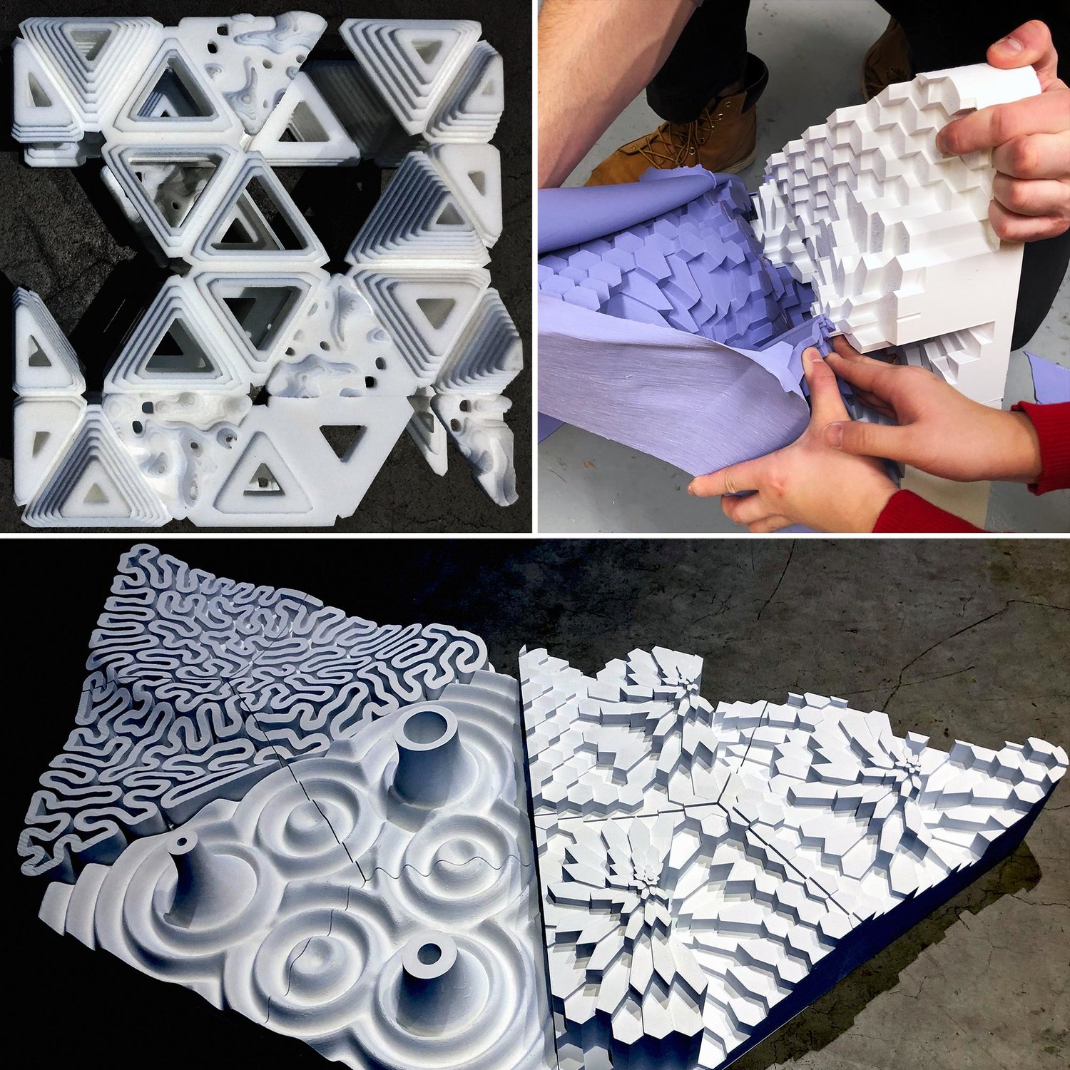 纽约生态建筑 · 为濒危 Monarch 蝴蝶打造的城市栖息地-47