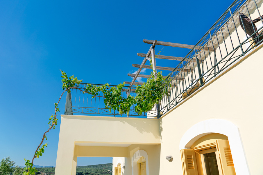 希腊 Navarino VILLA 多家庭住宅设计-48