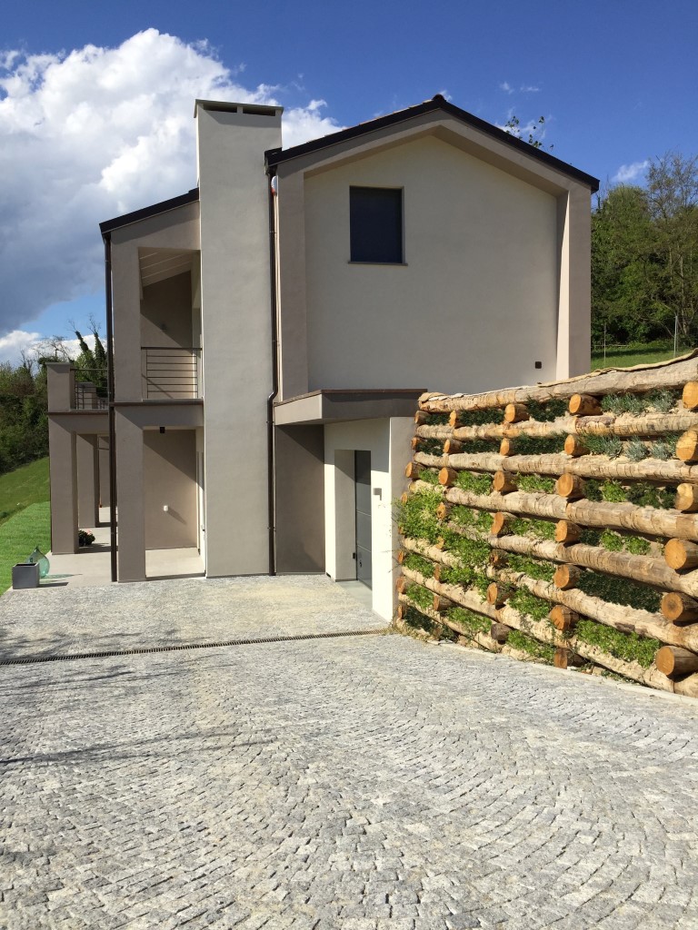 2015 年完工的单家庭住宅设计案例-1