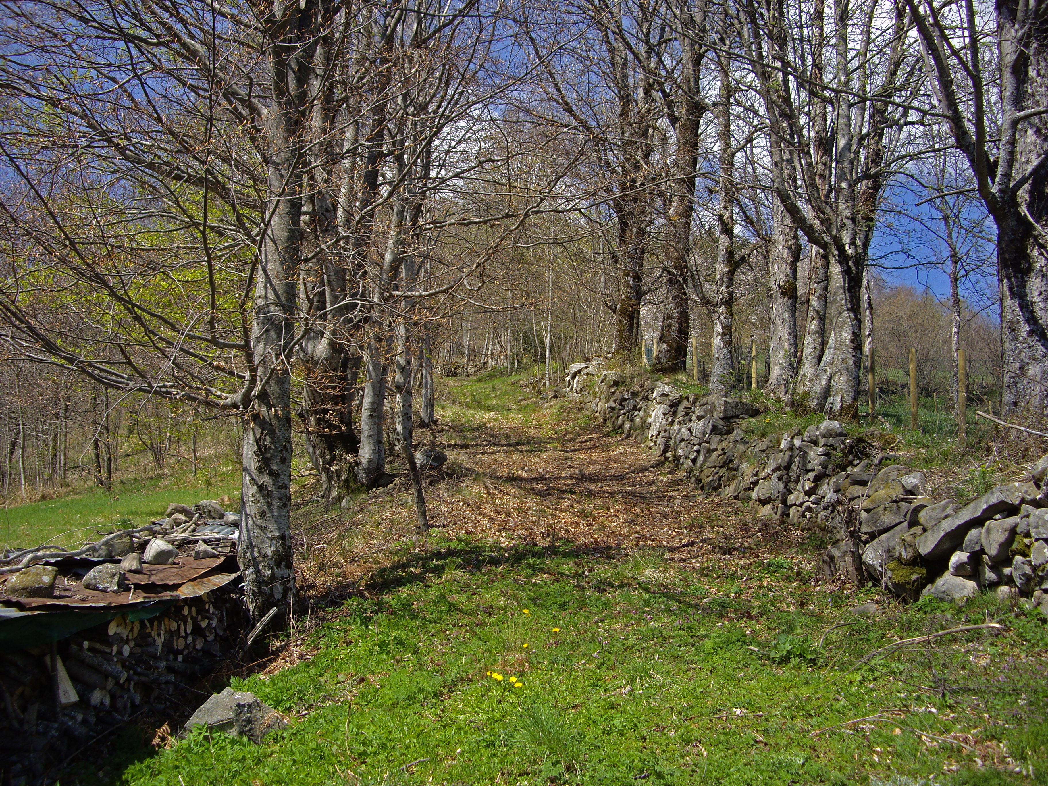 S·I·A· 吊椅索道建设项目(法纳诺)-27