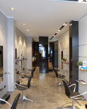 Avedapoint 发型设计师