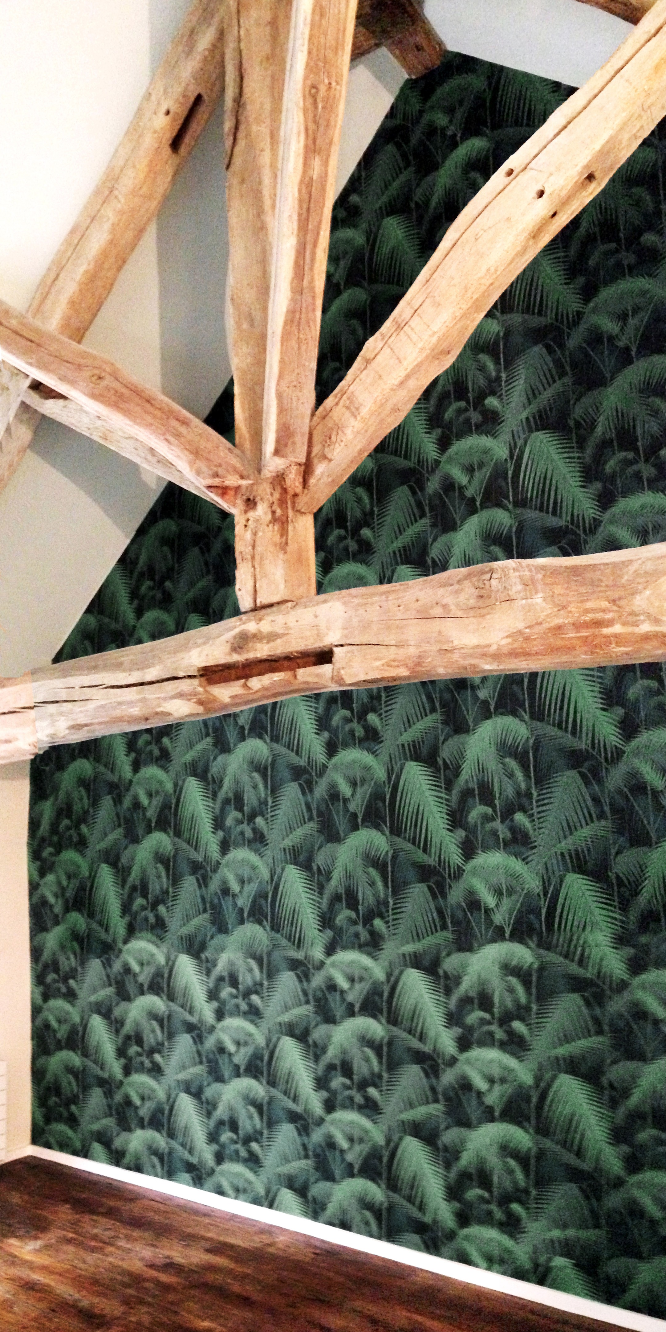 湖边猎屋的现代改造-23