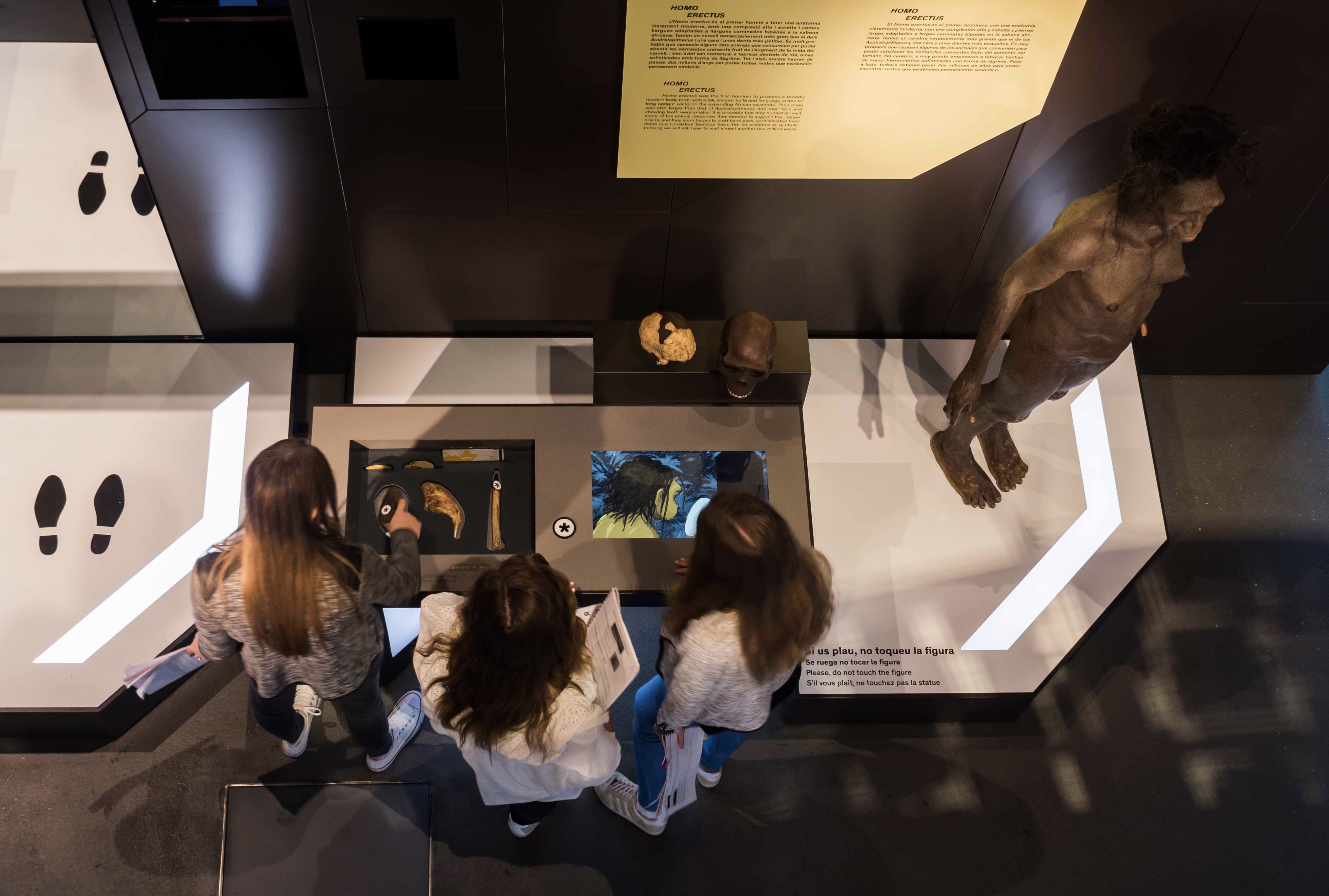 Talking Brains 展览设计-25