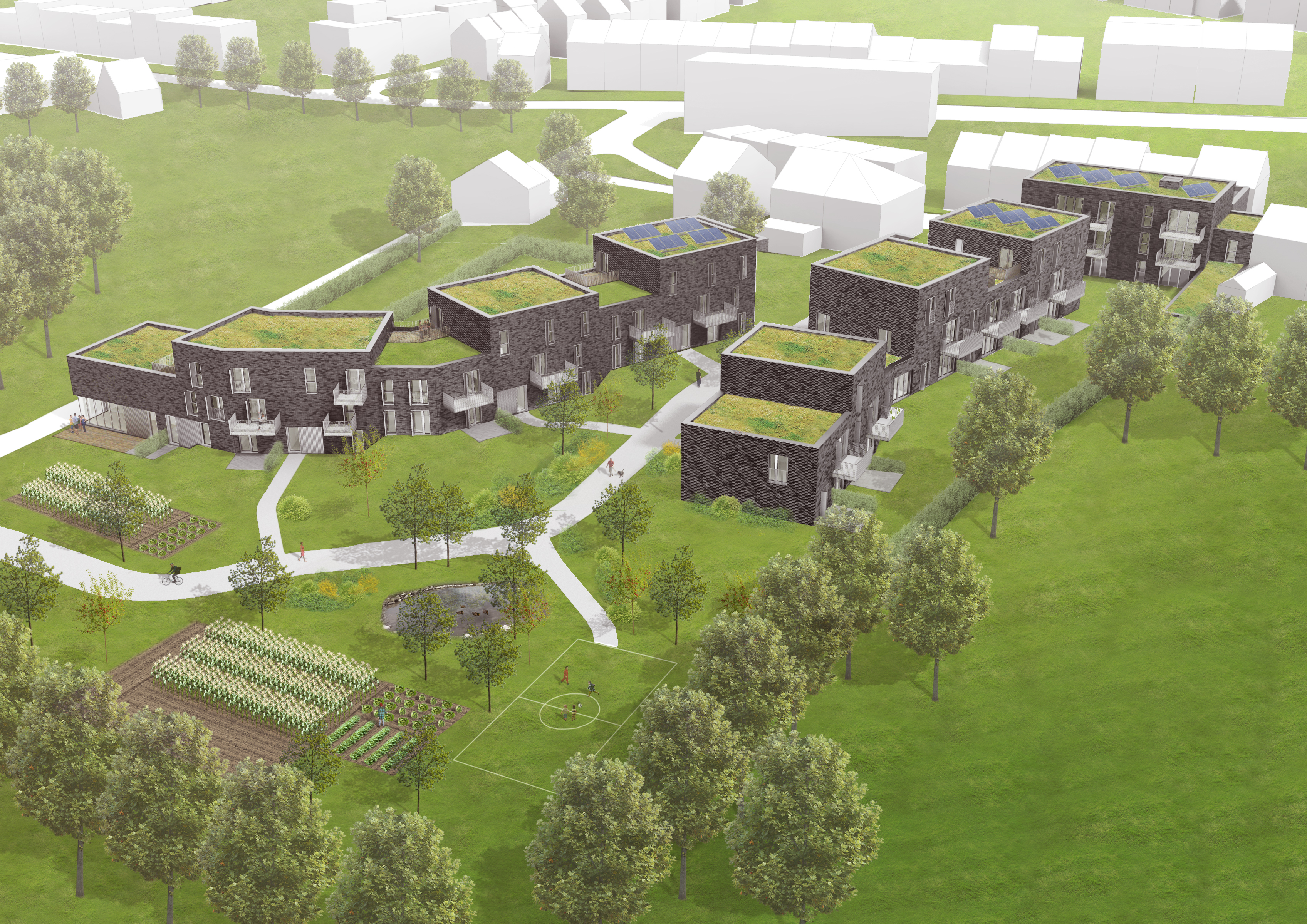 兼顾生态与人文的 Harenberg 住宅项目-0