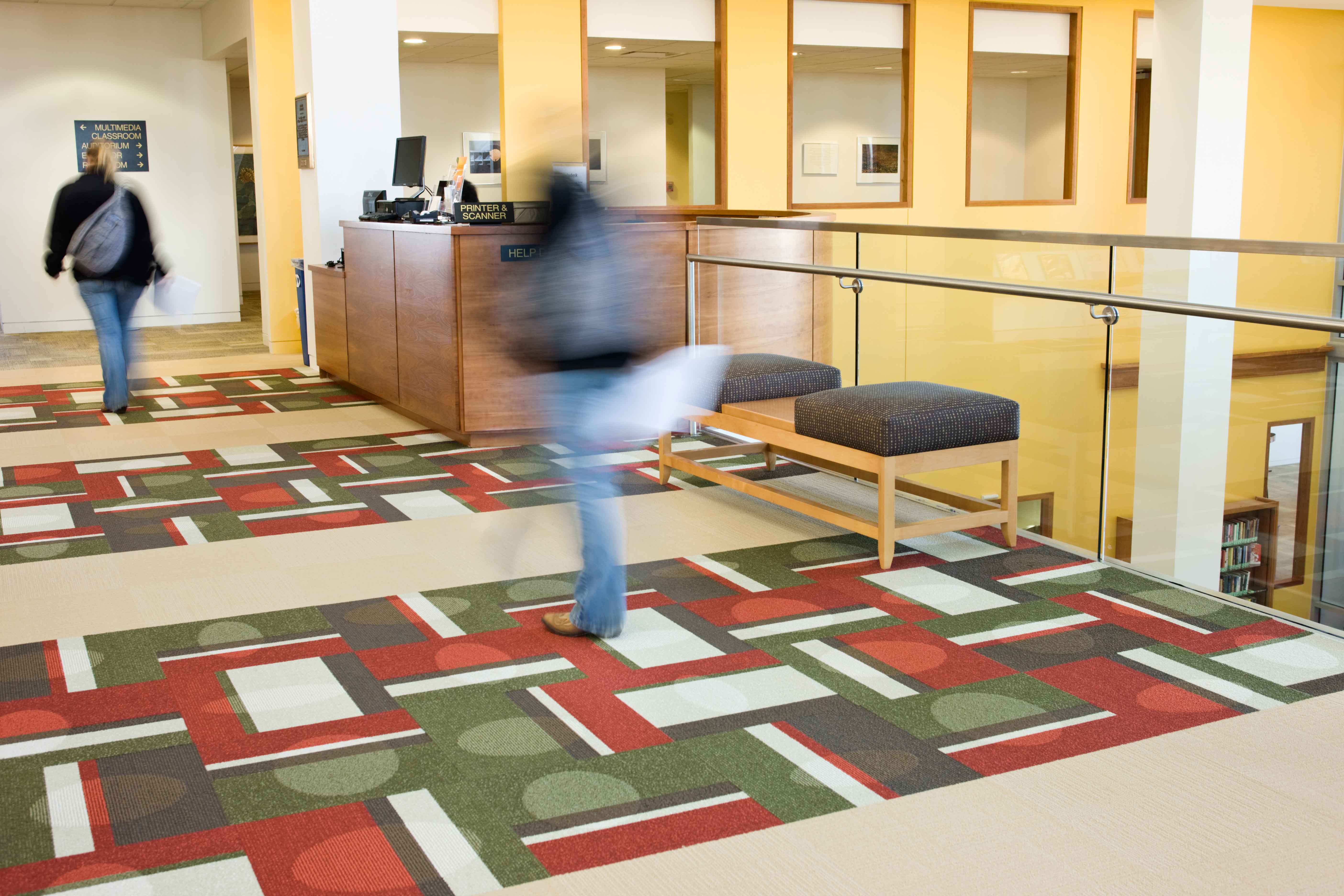 弗兰克和劳拉刘易斯图书馆-8