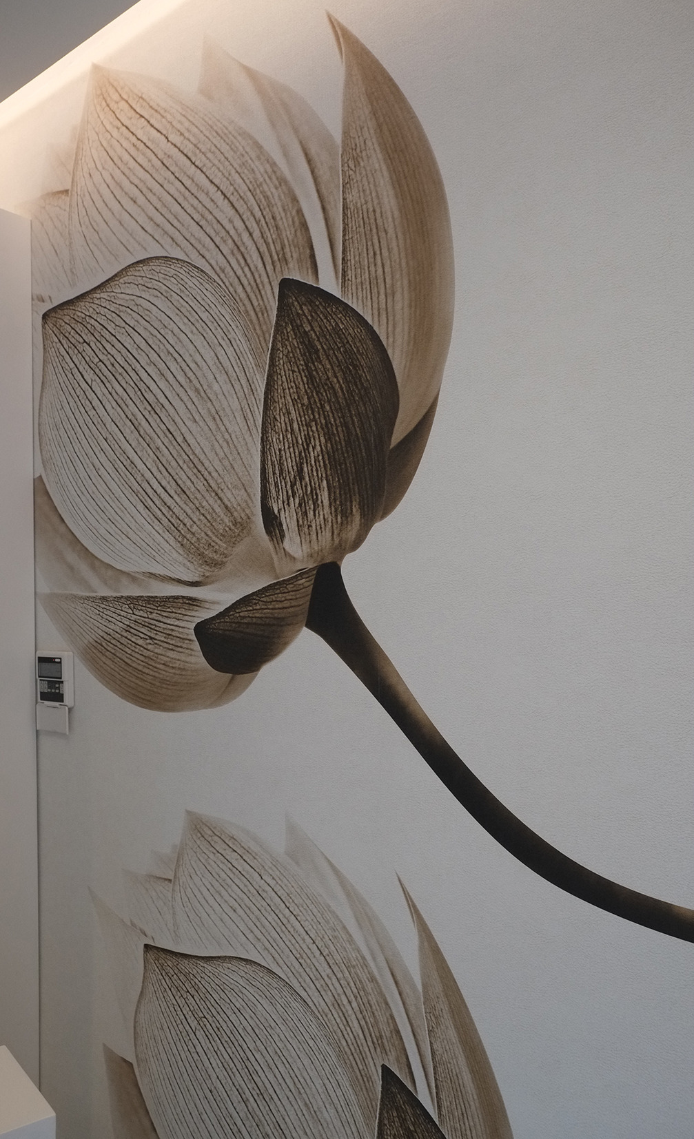 现代简约美学,2017 年完成的美容中心室内设计-24