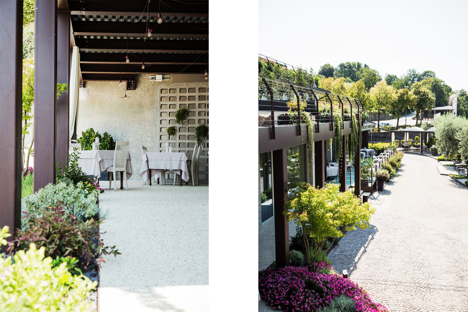 意大利百年餐厅“La Rosina”的现代复兴-9