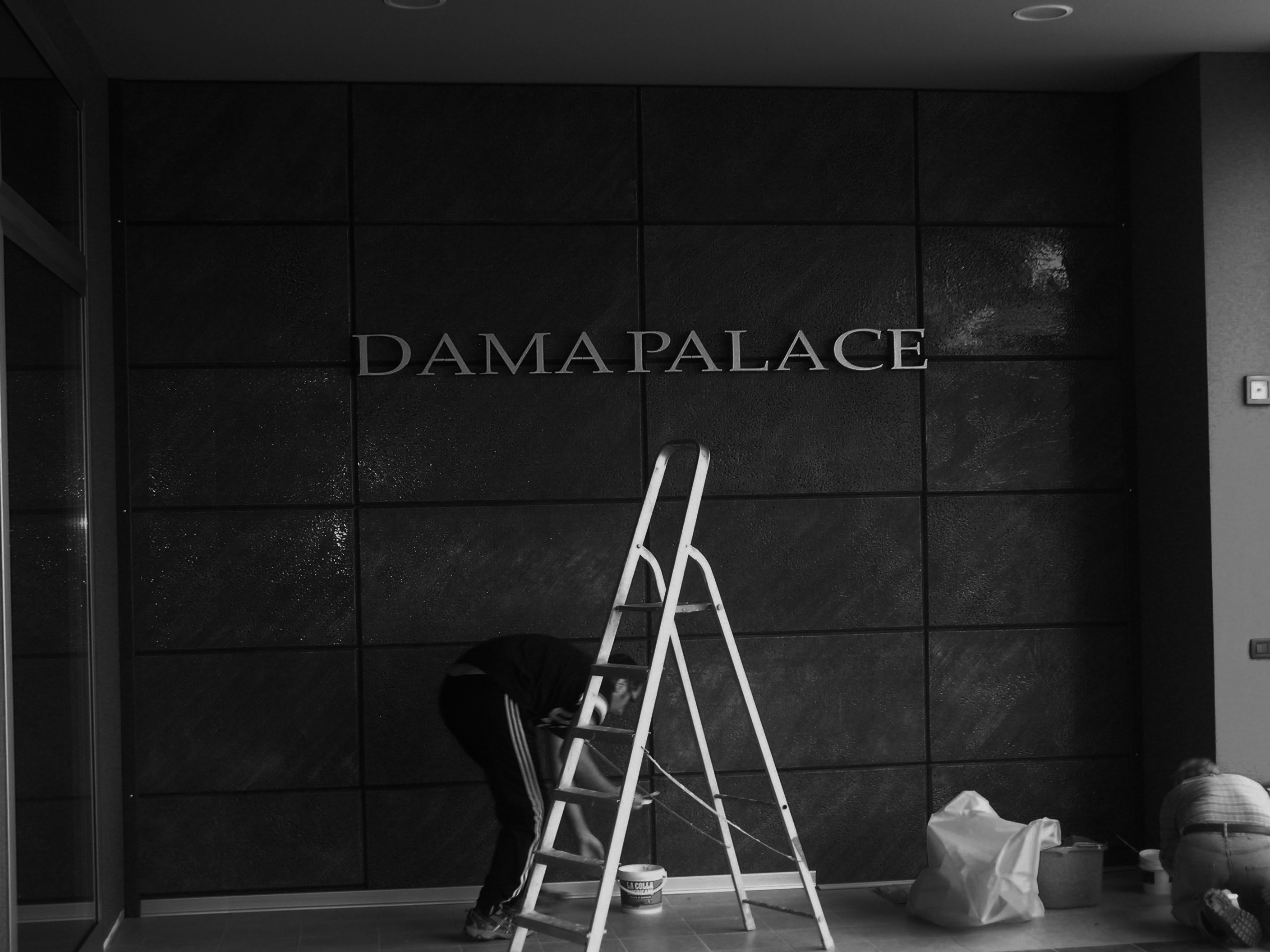 2010 年完成的达玛宫室内设计案例-3