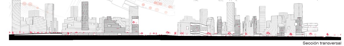 Urban redevelopment (sewing strips), Zaragoza-5