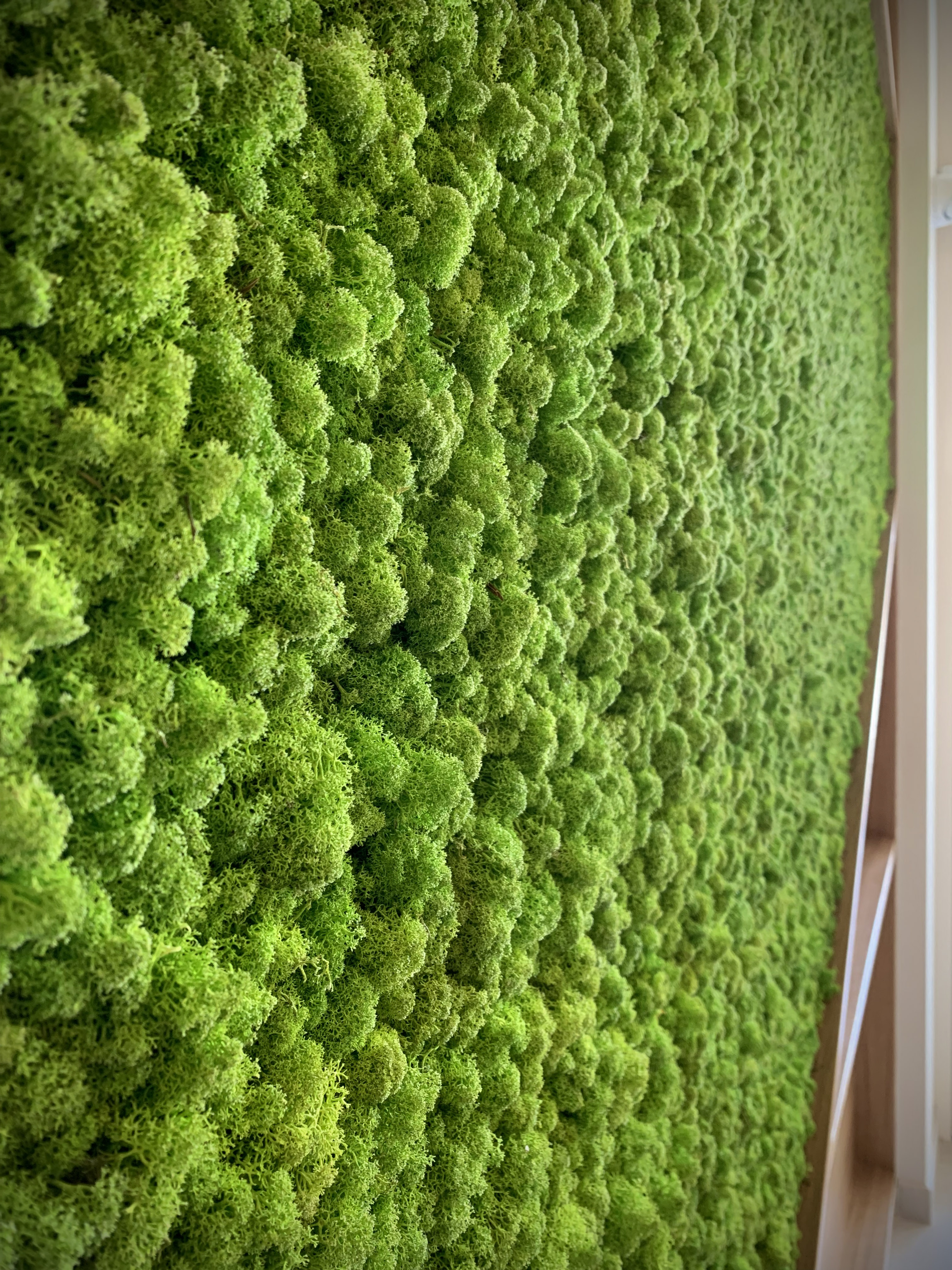 意大利乡村风情的温馨小酒馆——"Luppolo&Farina"-1