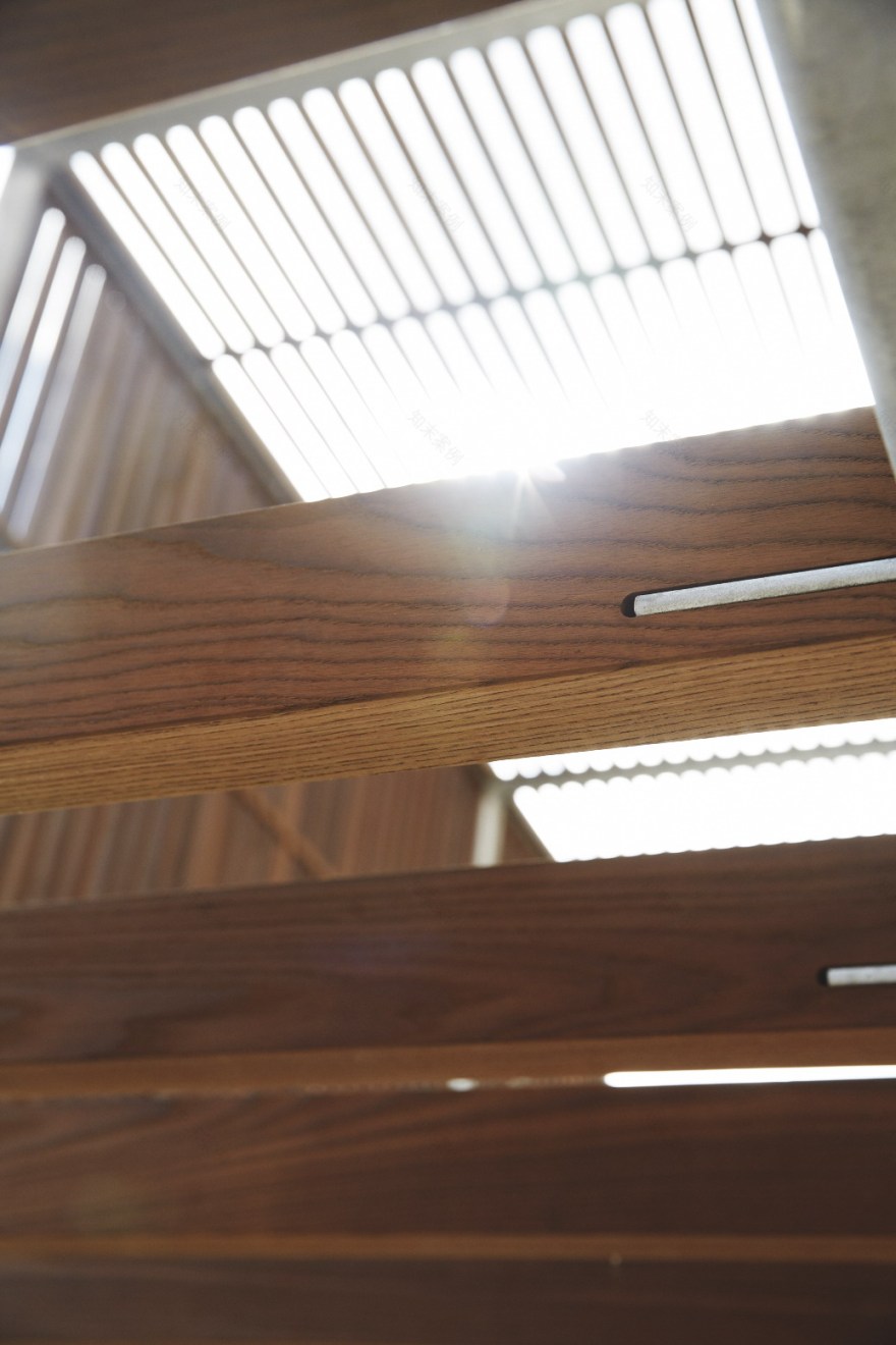 伦敦 Chisenhale 小学空中游乐场 | 创新设计,激发儿童创造力-9