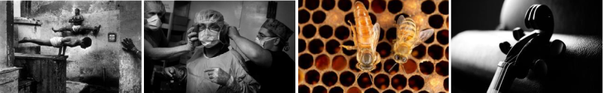 Vaillant Expo Pavilion 设计 | 现代互动空间的诠释-9