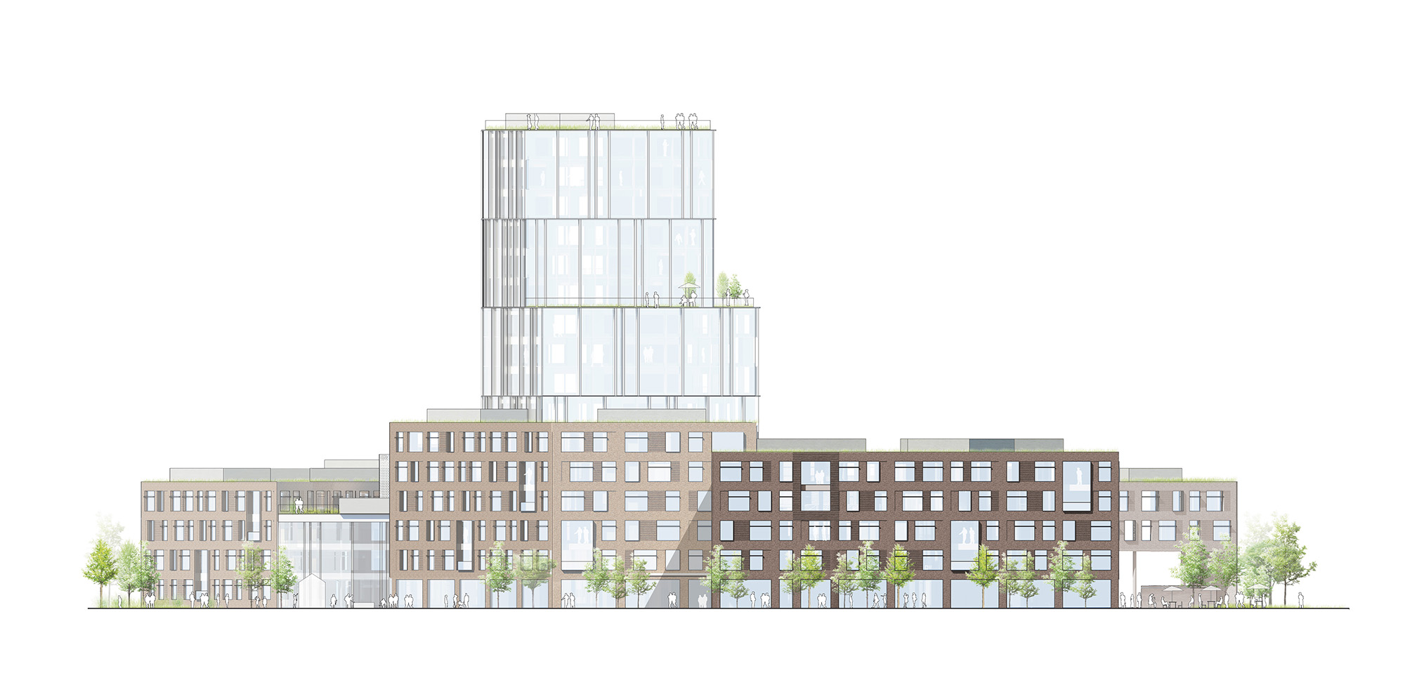 通过大学学院,校园霍森-20